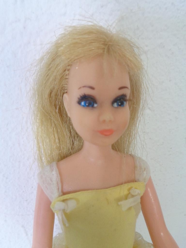 Skipper van Barbie,….. ( Fotonr V67), Ophalen of Verzenden, Zo goed als nieuw, Pop