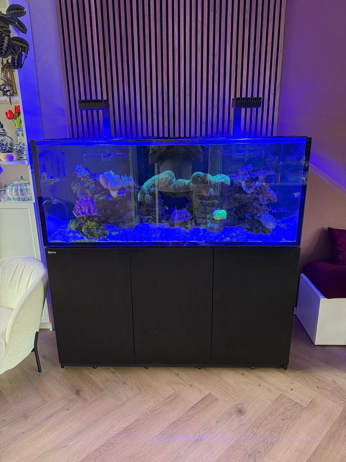Red Sea Reefer 625 G2, Dieren en Toebehoren, Vissen | Aquaria en Toebehoren, Ophalen of Verzenden, Zo goed als nieuw, Leeg aquarium