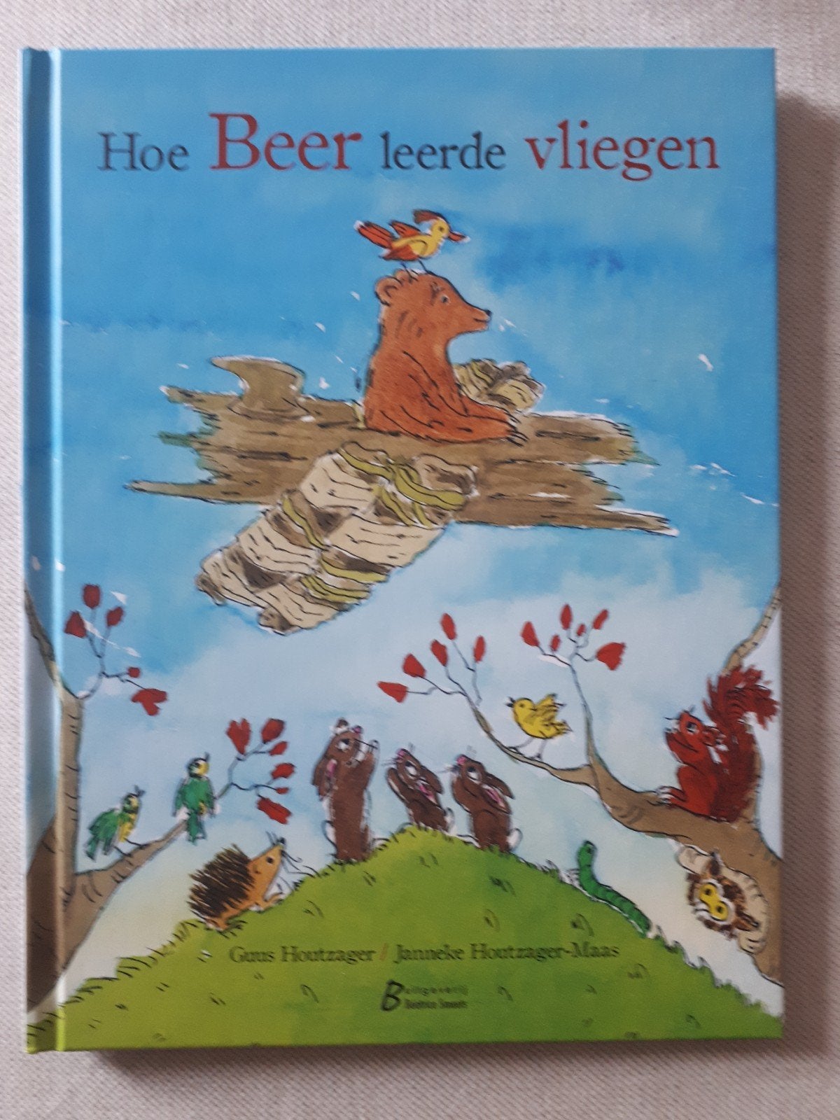 Guus Houtzager - Hoe beer leerde vliegen, Boeken, Ophalen, Fictie algemeen