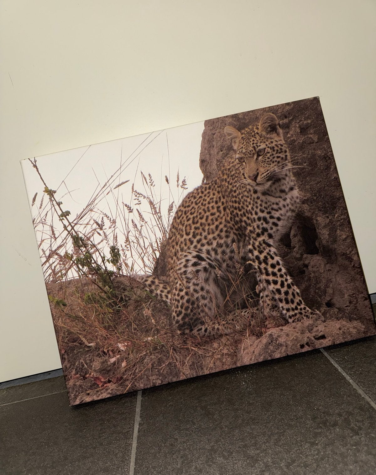 Schilderij met luipaard - Canvas, 50 – 75, Ophalen of Verzenden, Zo goed als nieuw, Schilderij
