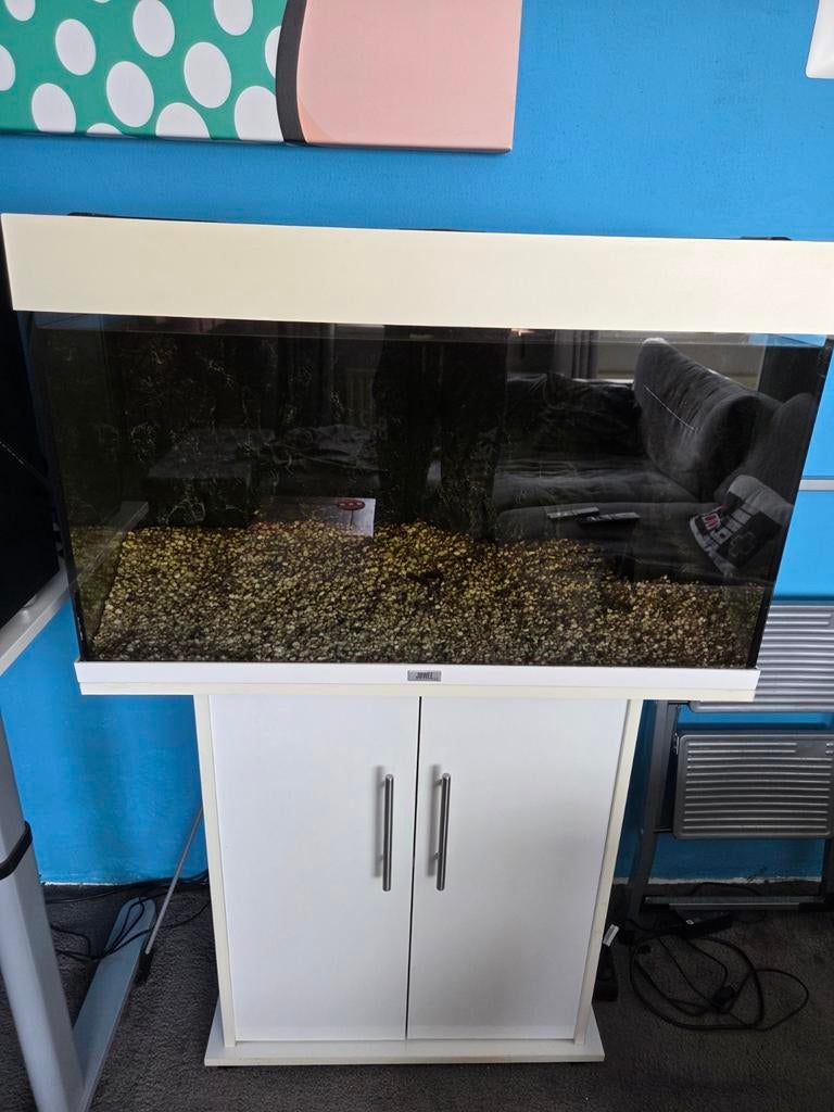Juwel Aquarium Rio 125 Led 80x35x50, Dieren en Toebehoren, Vissen | Aquaria en Toebehoren, Ophalen, Zo goed als nieuw, Leeg aquarium