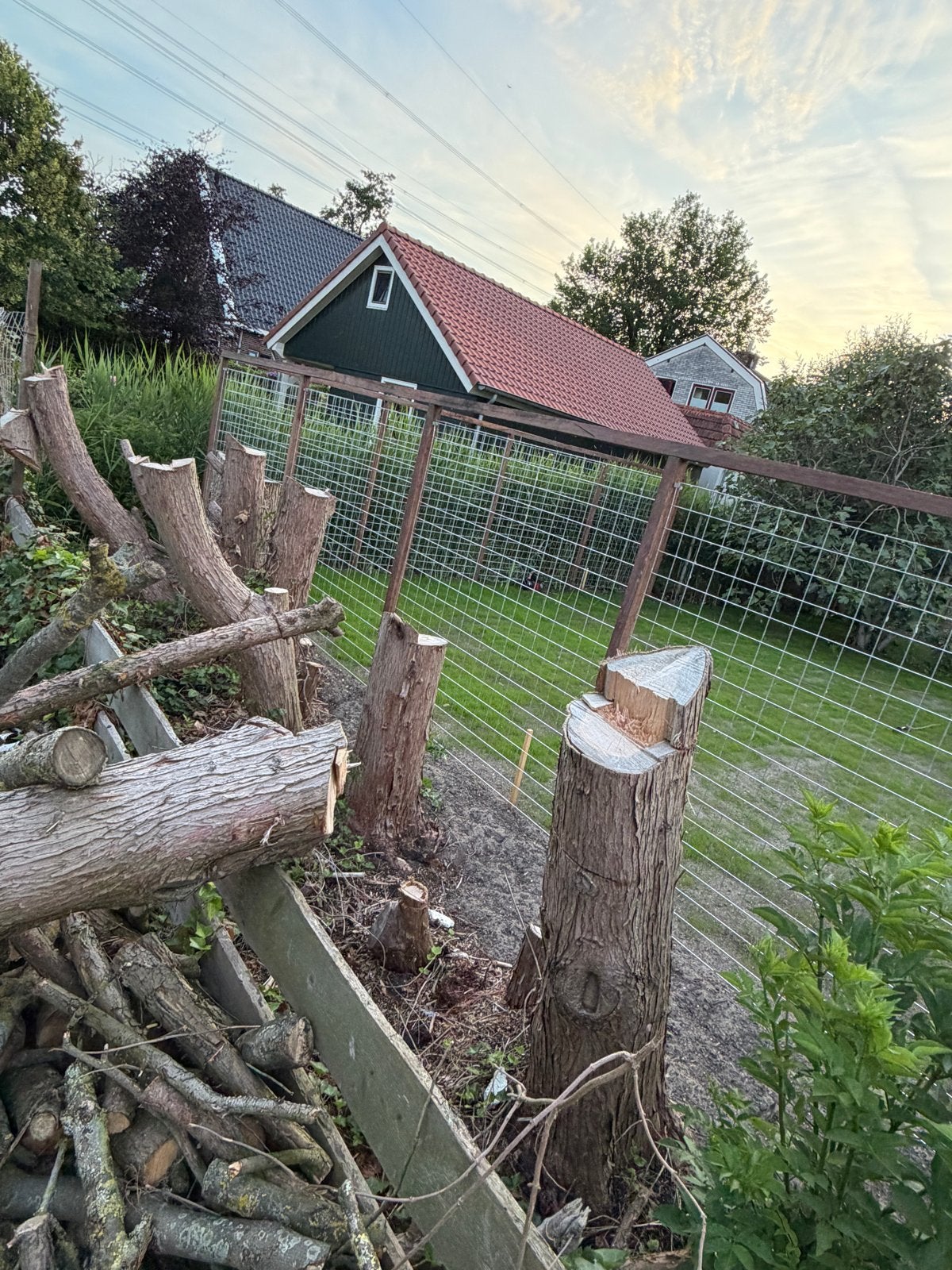 Brandhout: Blokken, Stammen en Takken, Tuin en Terras, 3 tot 6 m³, Ophalen, Overige houtsoorten, Blokken
