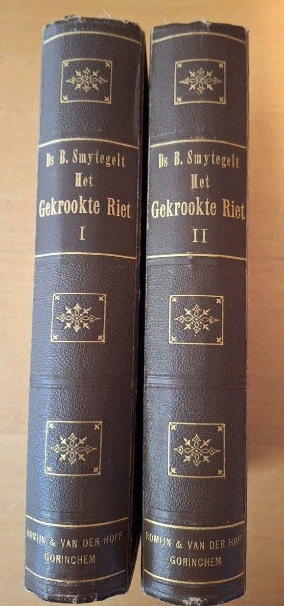 Het Gekrookte Riet - Ds. B. Smytegelt (2 delen), Ophalen of Verzenden, Gelezen, Ds. B. Smytegelt, Christendom | Protestants