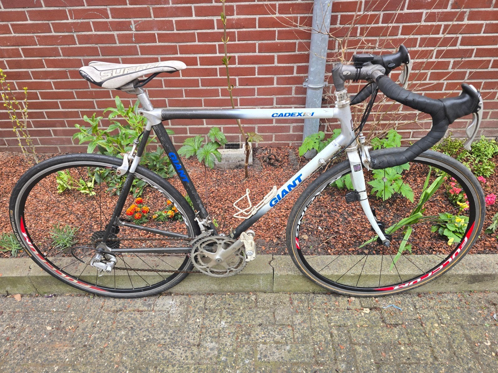 Fijn rijdende giant cadex 1 carbon vintage racefiets 58cm., Ophalen, 28 inch, Gebruikt, Carbon