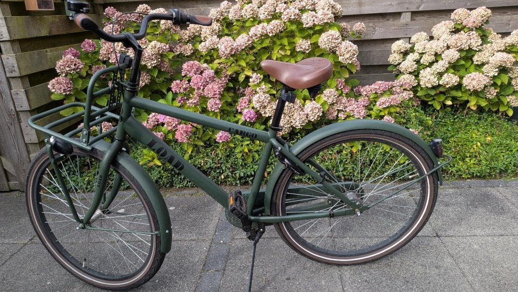 Cargo fiets - Groen - Zo goed als nieuw, Terugtraprem, Cargo Load, Versnellingen, Zo goed als nieuw