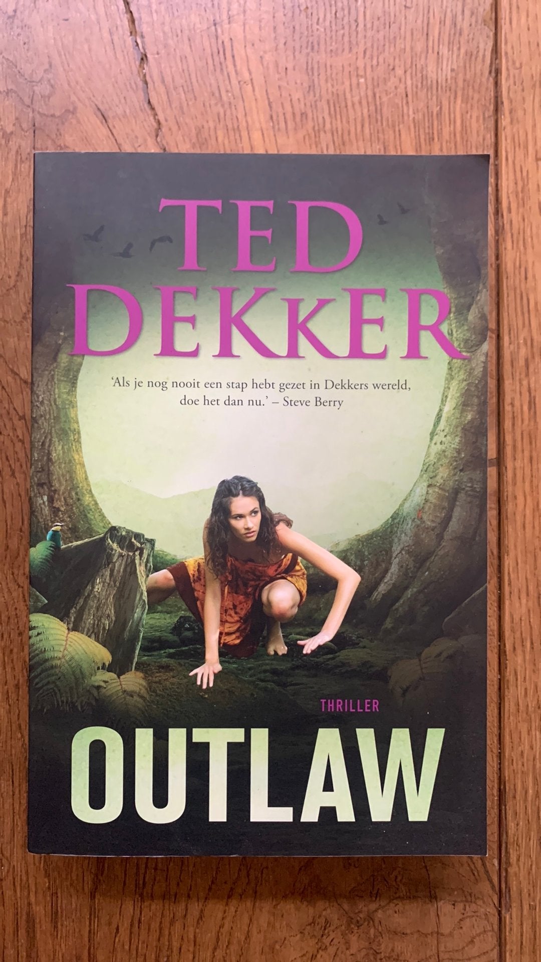 Ted Dekker - Outlaw, Ophalen of Verzenden, Nieuw, Ted Dekker