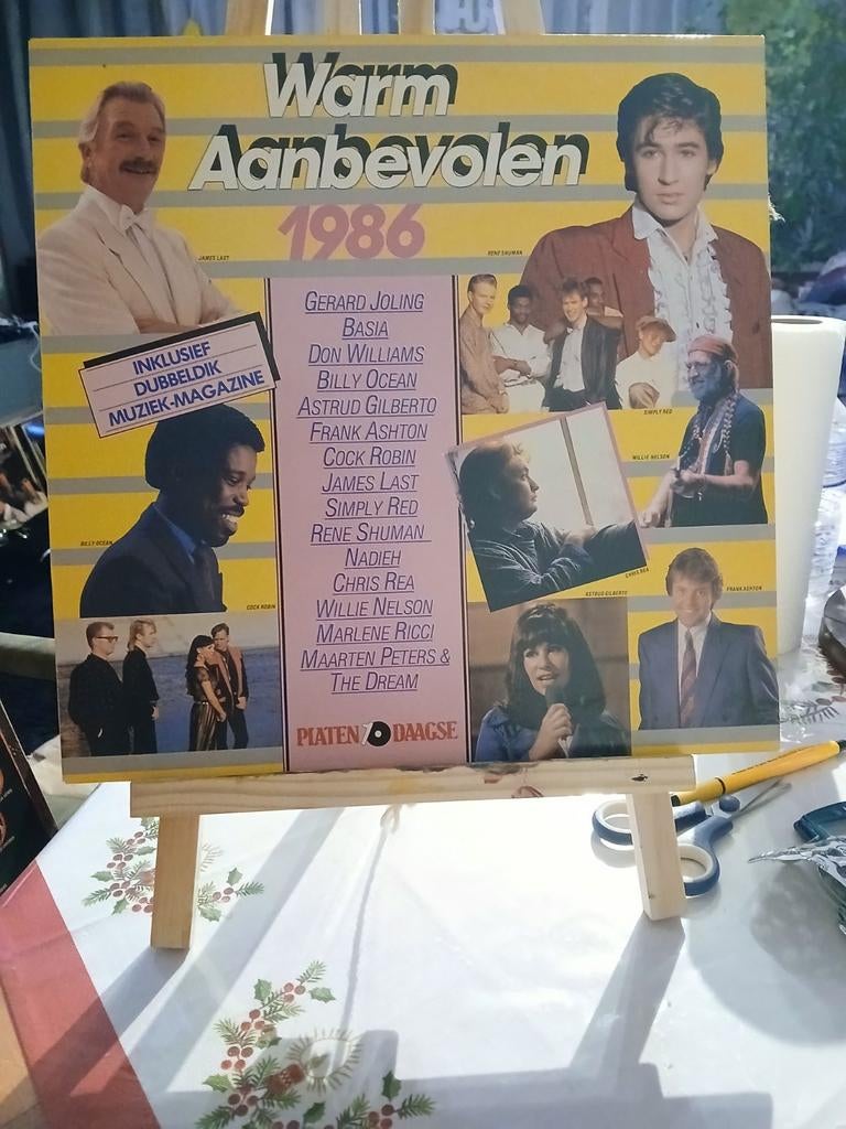 Warm Aanbevolen 1986 LP plaat, Ophalen of Verzenden, Gebruikt