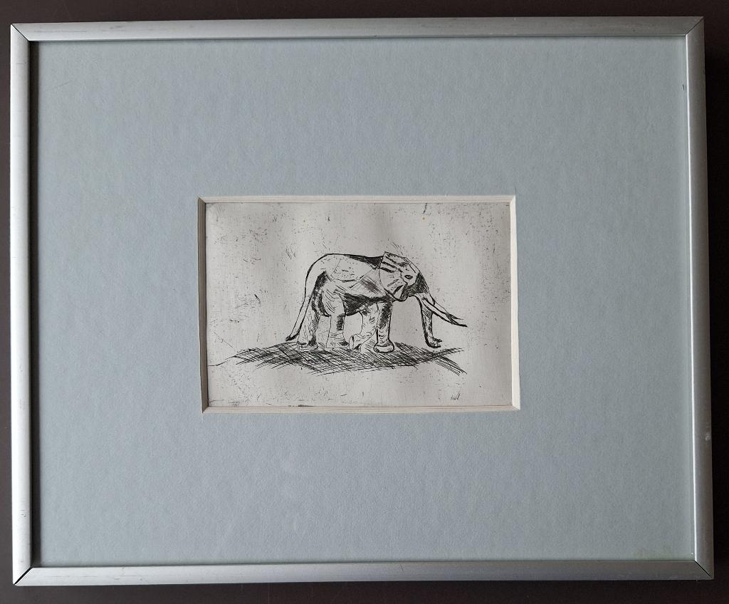 Olifant - pentekening? gravure?, Antiek en Kunst, Kunst | Etsen en Gravures, Ophalen of Verzenden