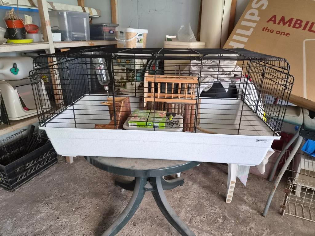 Binnenhok voor cavia of konijn. Evt met toebehoren, Ophalen, 110 cm of meer, 60 tot 90 cm, Zo goed als nieuw