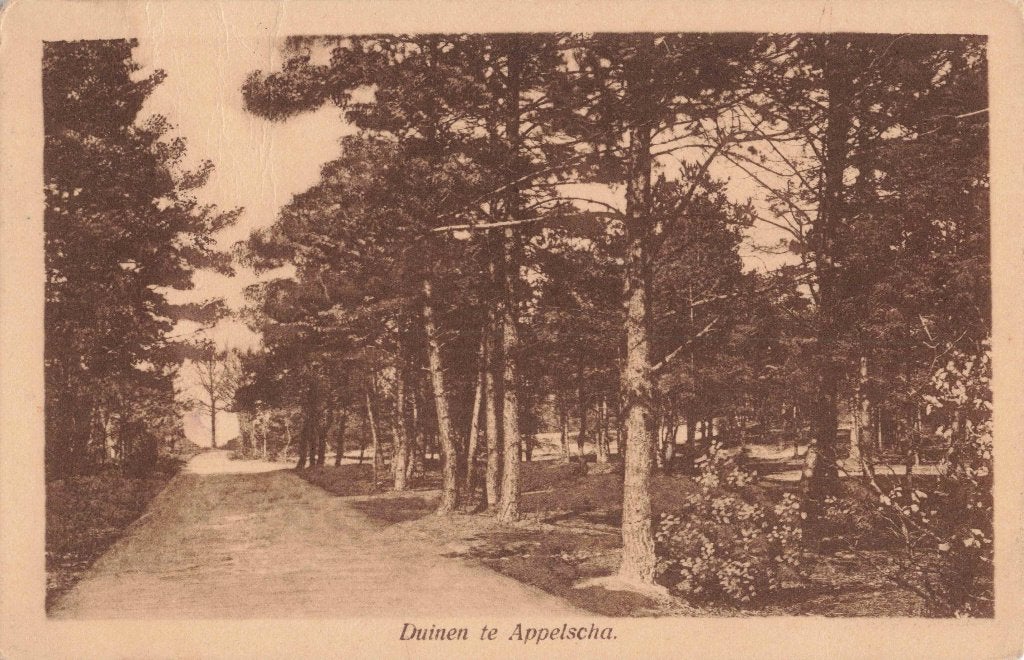 Appelscha Duinen L3032, Ophalen, 1920 tot 1940, Gelopen, Friesland