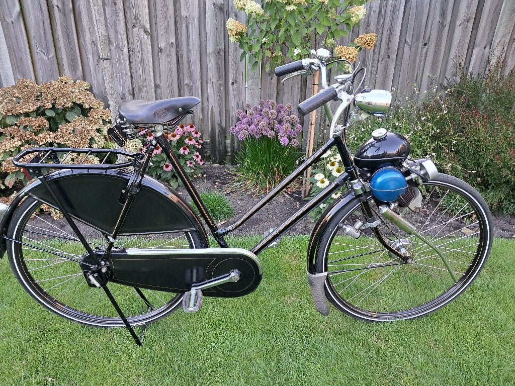 Berini Eitje met kenteken., 59 cm of meer, Ophalen