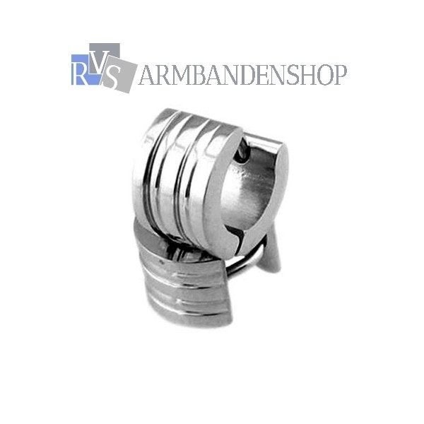 oorbellen rvs oorbellen studs van gepolijst RVS zilver, Overige materialen, Verzenden, Nieuw, Knopjes of Stekers