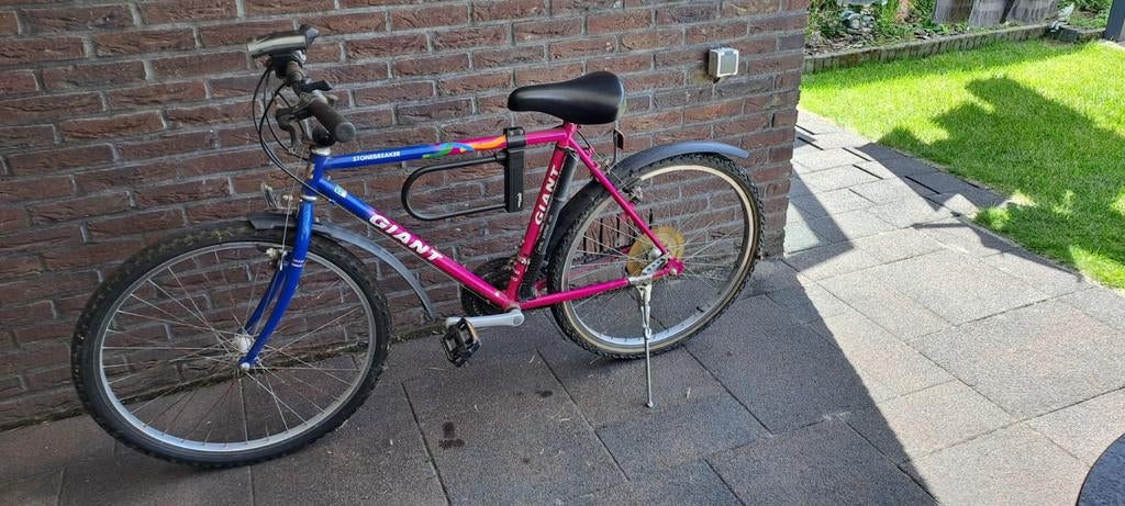 Giant Stonebreaker Mountainbike - Blauw/Roze, Ophalen, Gebruikt, Giant