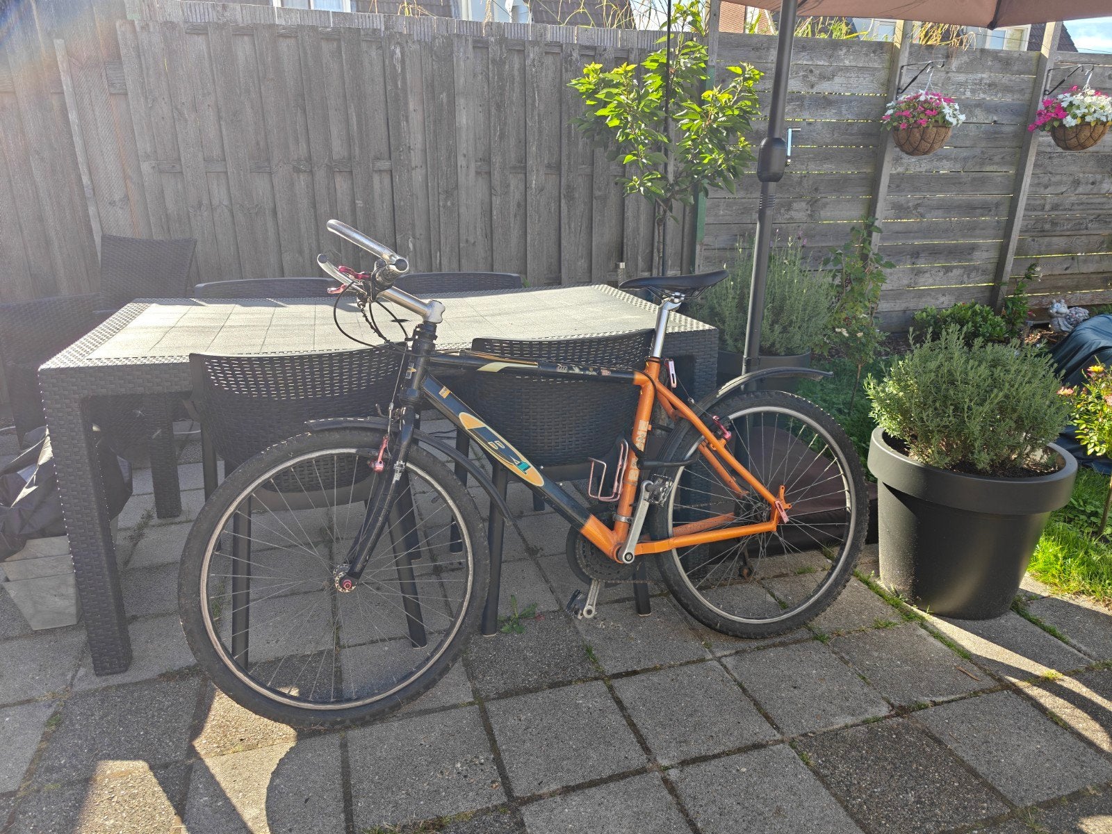 BeOne B1 Mountainbike, Ophalen