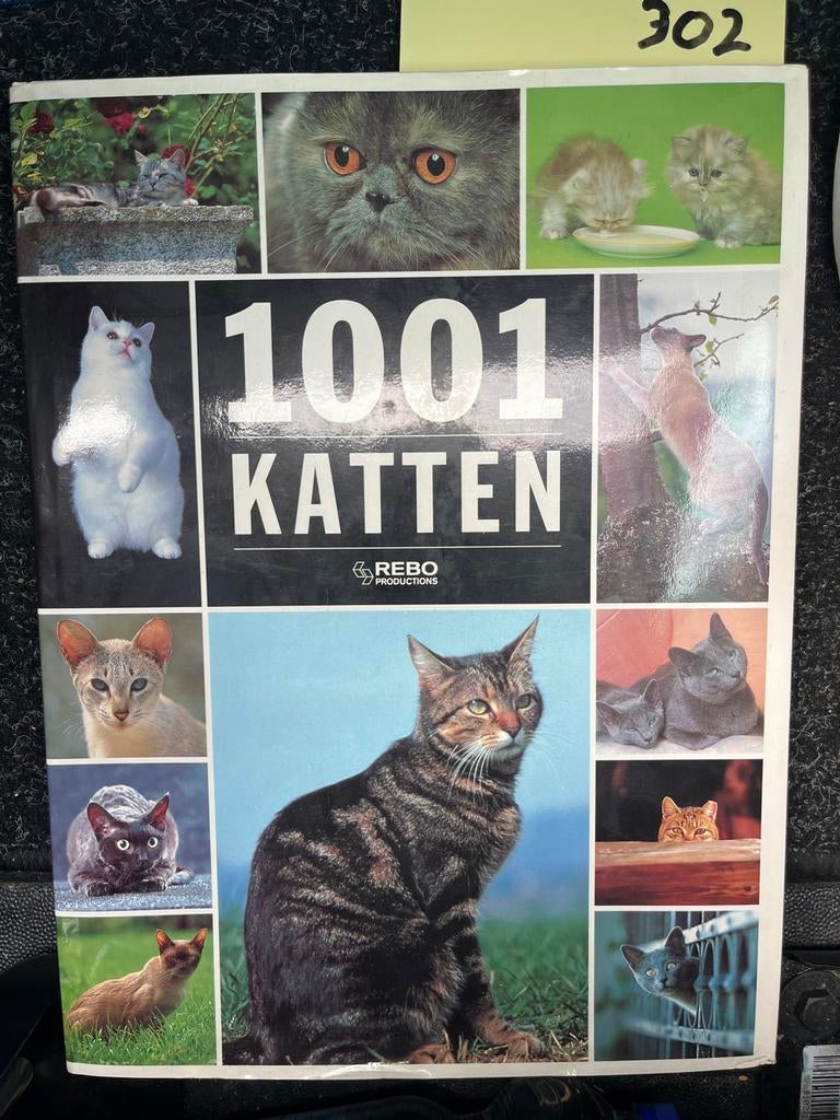 1001 Katten - Een uitgebreide gids voor kattenliefhebbers, Ophalen of Verzenden, Zo goed als nieuw, Katten