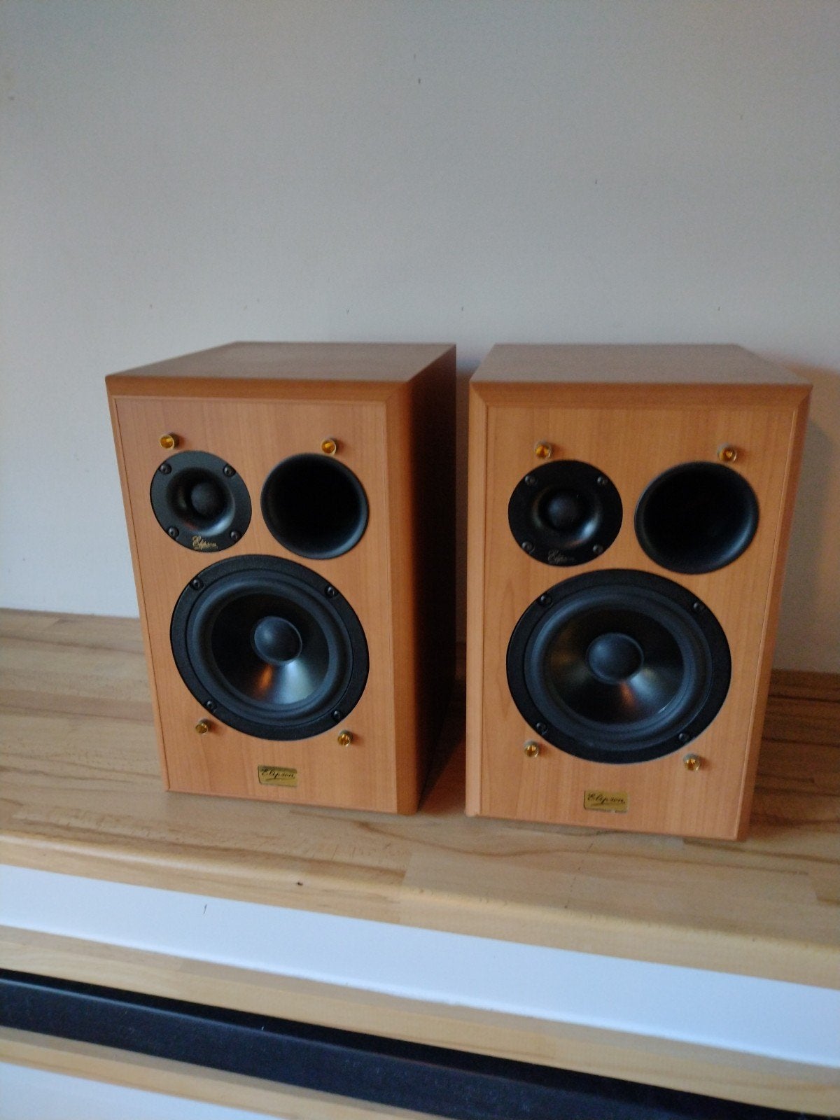Elipson horus1, Overige merken, Gebruikt, Ophalen of Verzenden, 60 tot 120 watt