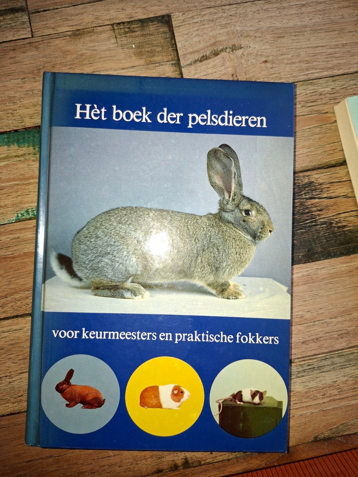 Hèt boek der pelsdieren - Konijnen, cavia's, muizen, Ophalen of Verzenden, Gelezen