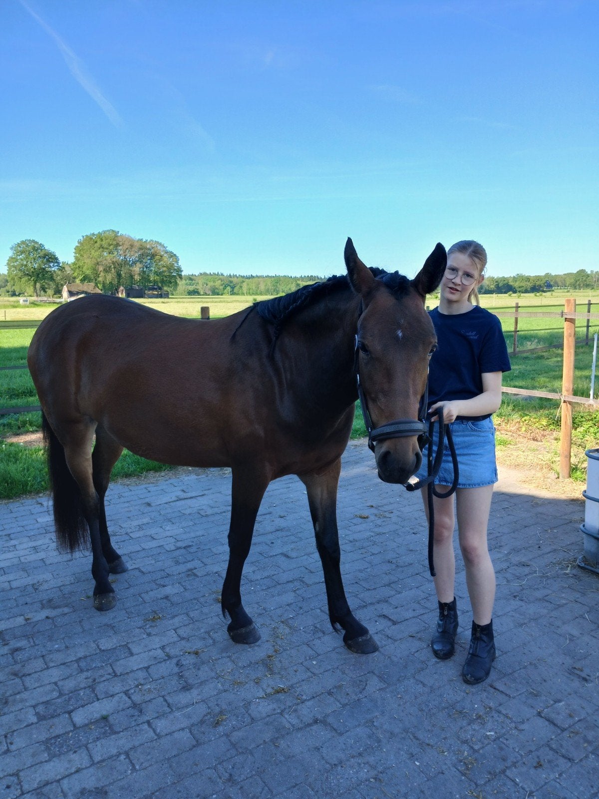 Super lieve 3 jarige D - Pony, Dieren en Toebehoren, Pony's, Merrie, Met stamboom, 3 tot 6 jaar, Onbeleerd