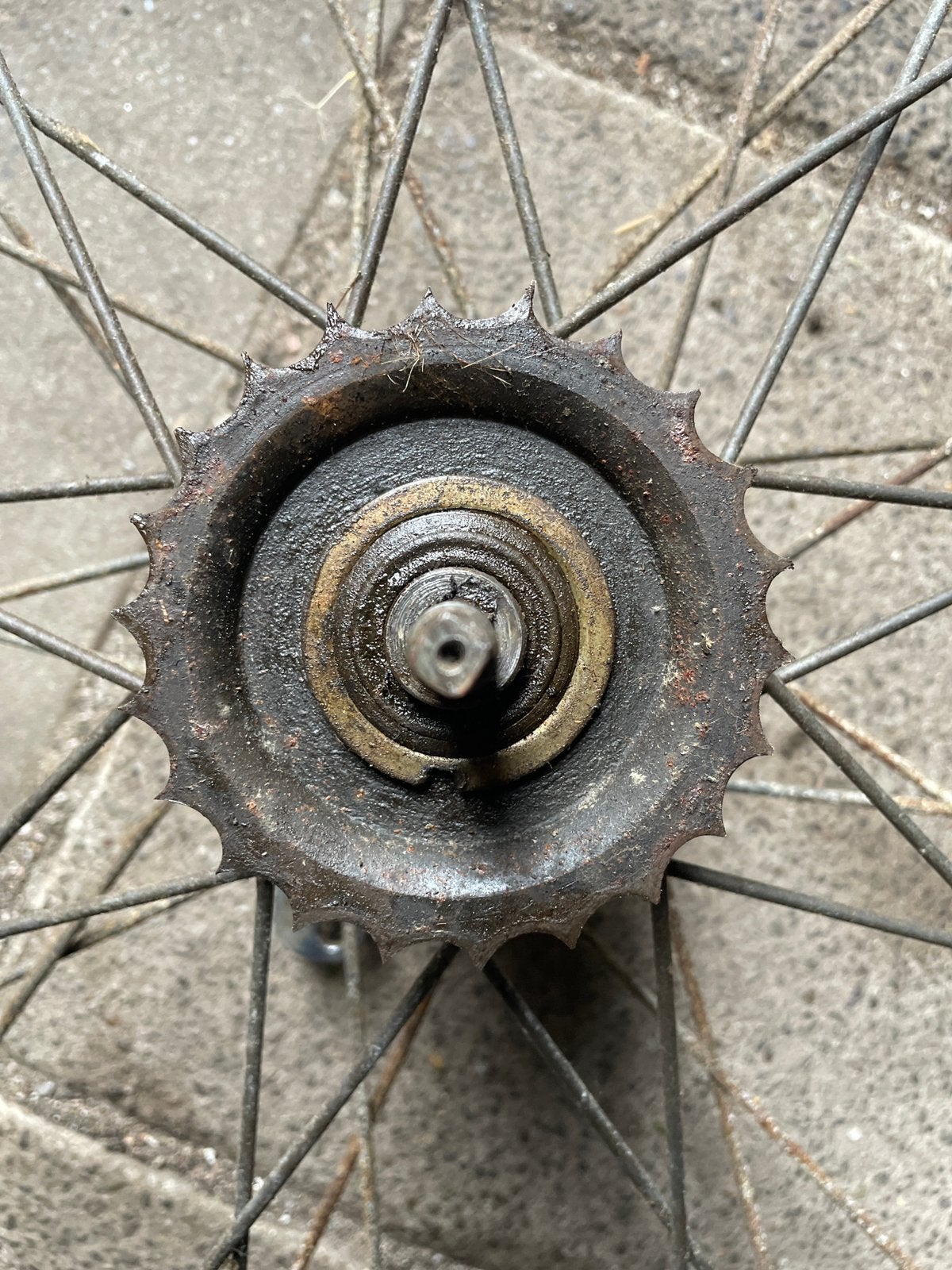 GEZOCHT: OLDTIMER GAZELLE TRANSPORTFIETS ACHTER TANDWIEL, Fietsen en Brommers, Ophalen