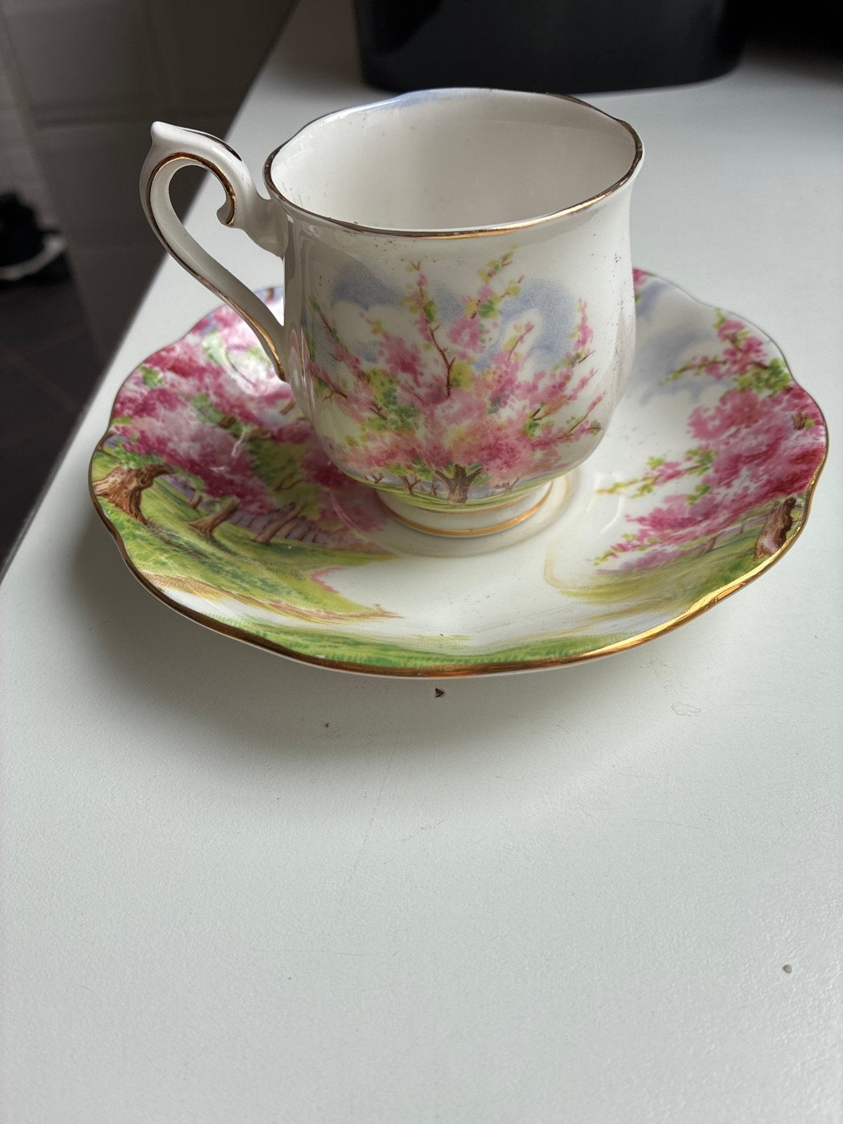 Royal Albert Blossom Time kop en schotel, Ophalen