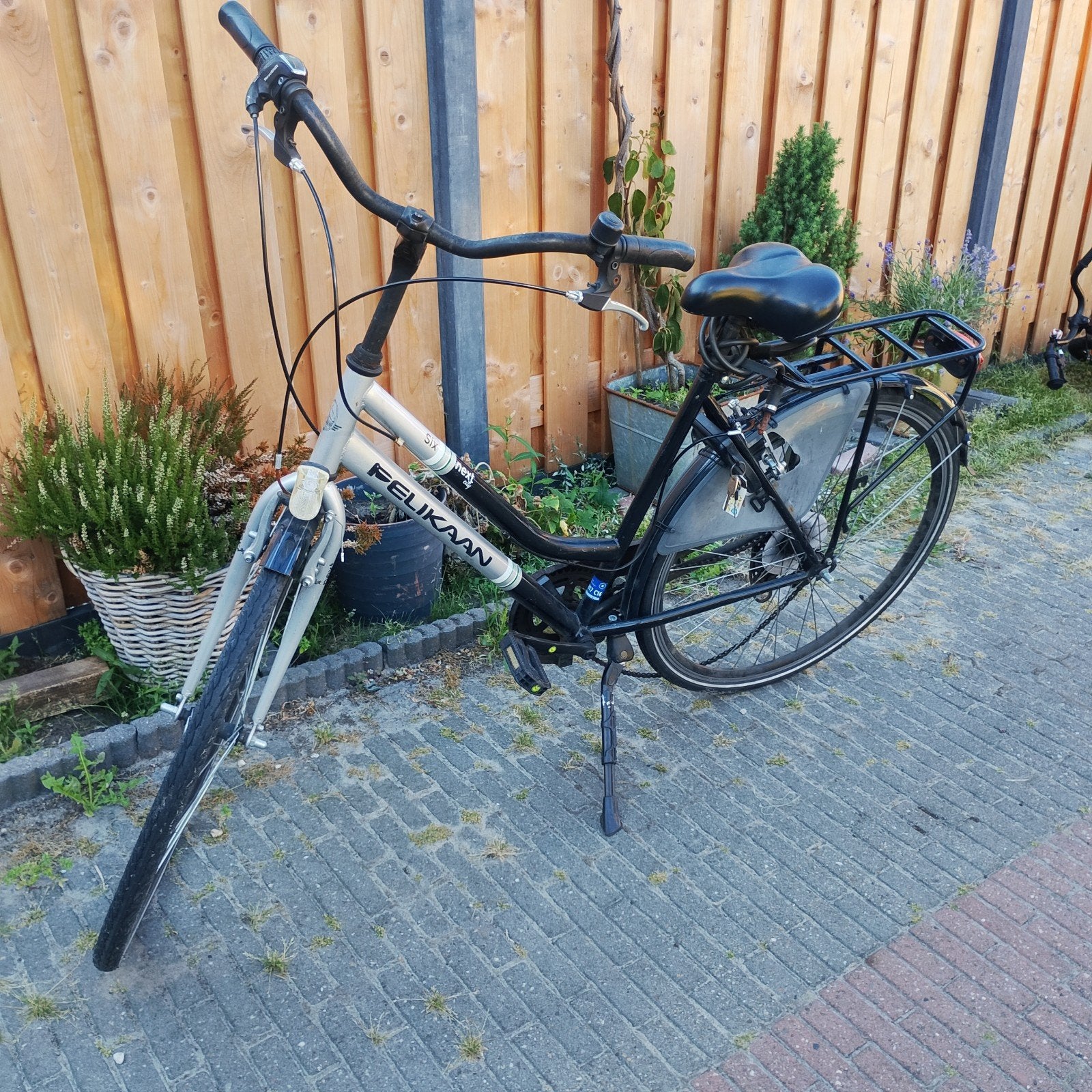 Pelikaan damesfiets, Terugtraprem, Ophalen, Overige merken, 53 tot 56 cm