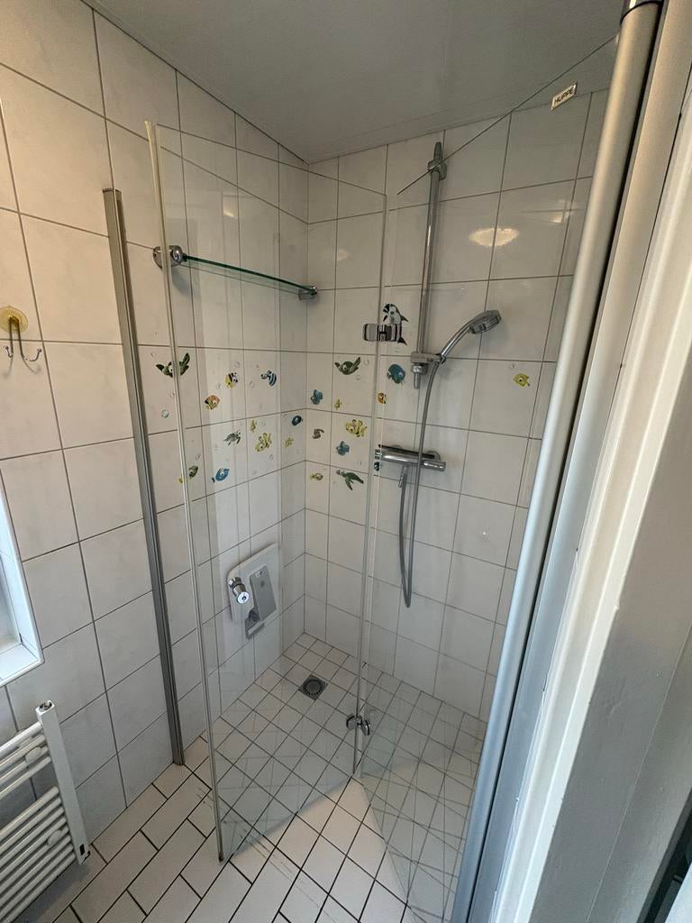 Hüppe Douchedeur Glas Grijs 109x190 cm, Ophalen, Gebruikt