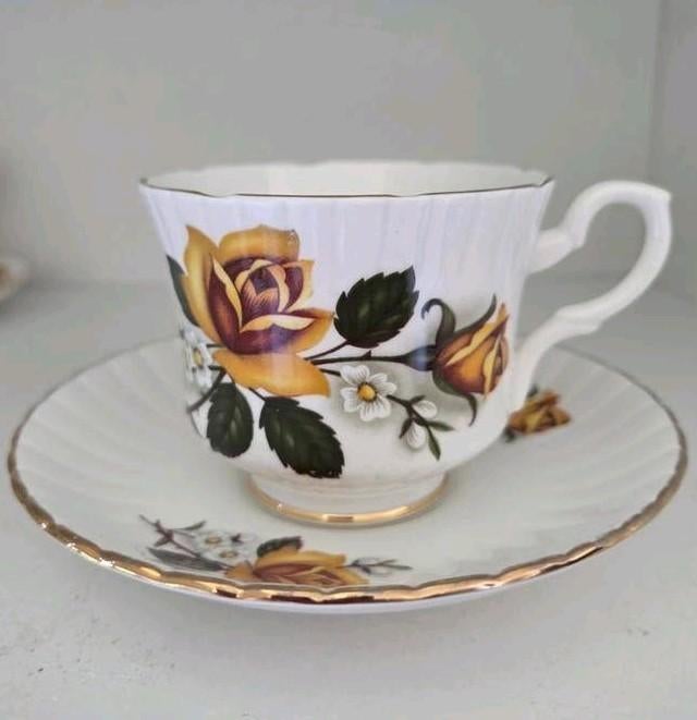 Vintage Salisbury Bone China kop en schotel met rozen, Ophalen of Verzenden