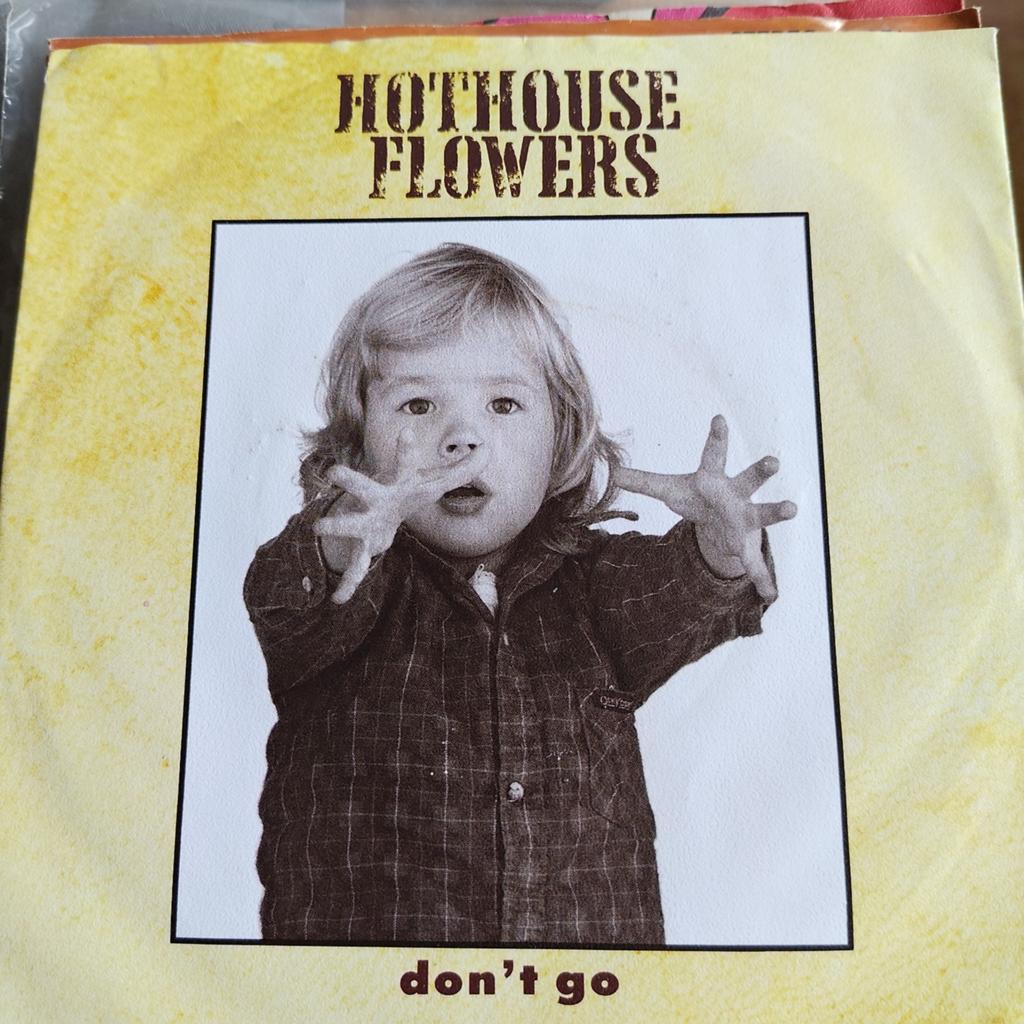 Hothouse Flowers - Don't Go (Vinyl Single), Ophalen of Verzenden, Gebruikt