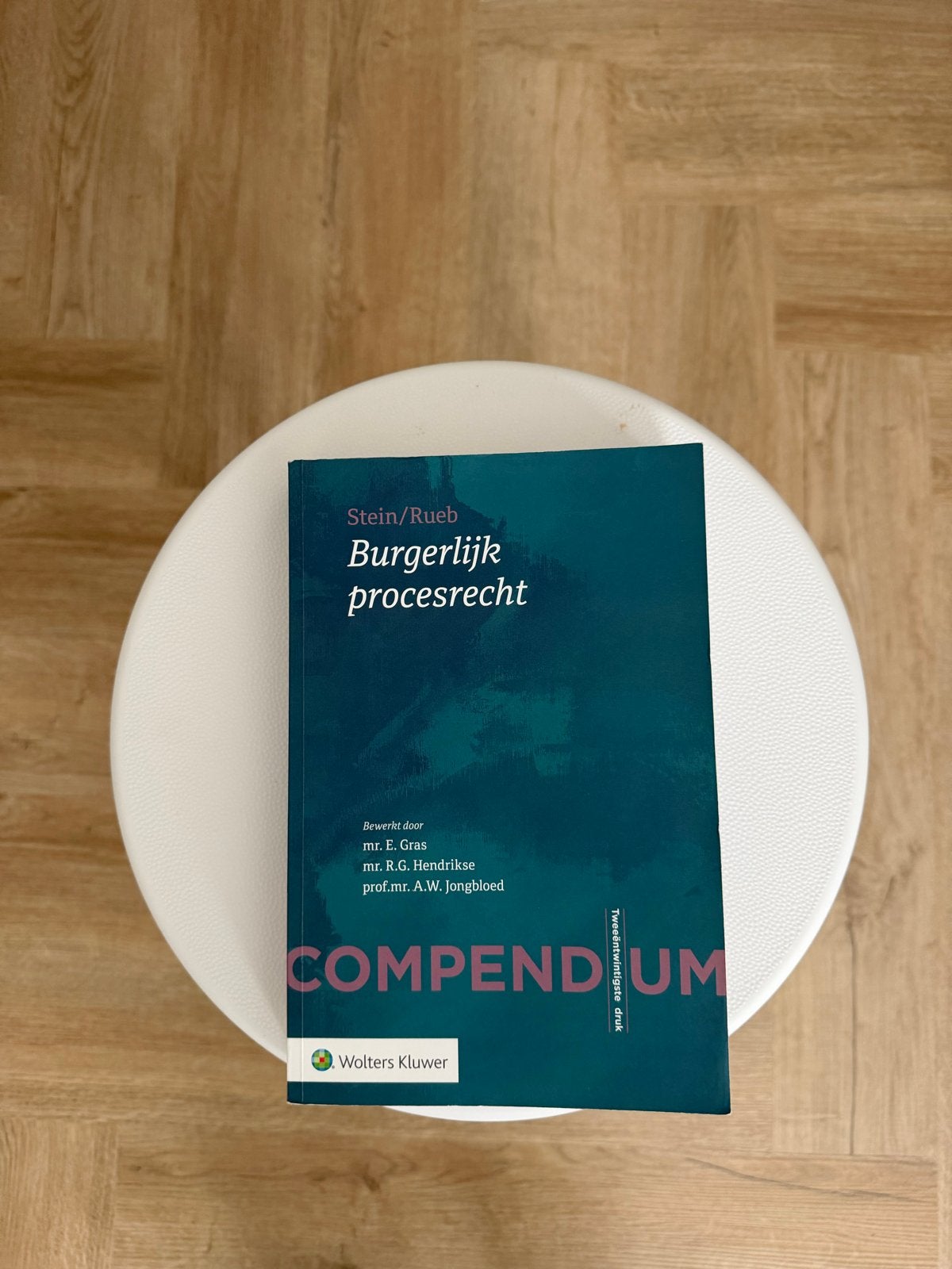 Burgerlijk procesrecht Compendium - Stein/Rueb, Boeken, Studieboeken en Cursussen, Ophalen of Verzenden, Gamma, Zo goed als nieuw