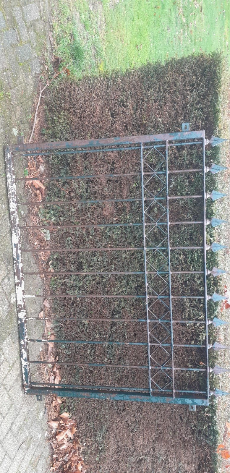 Hekwerk, Tuin en Terras, Ophalen of Verzenden, IJzer