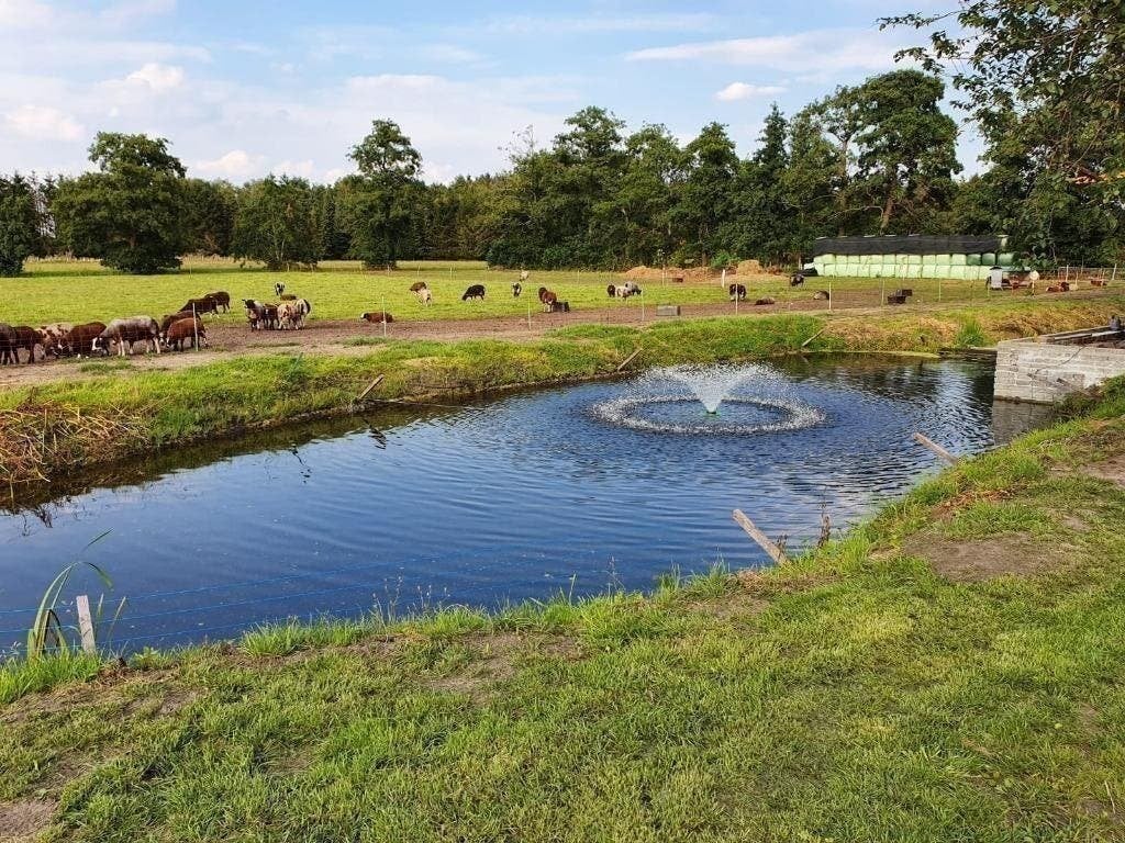 vijverfontein/ vijverbeluchter voor een gezondere vijver, Ophalen of Verzenden, Nieuw, Vijverpomp