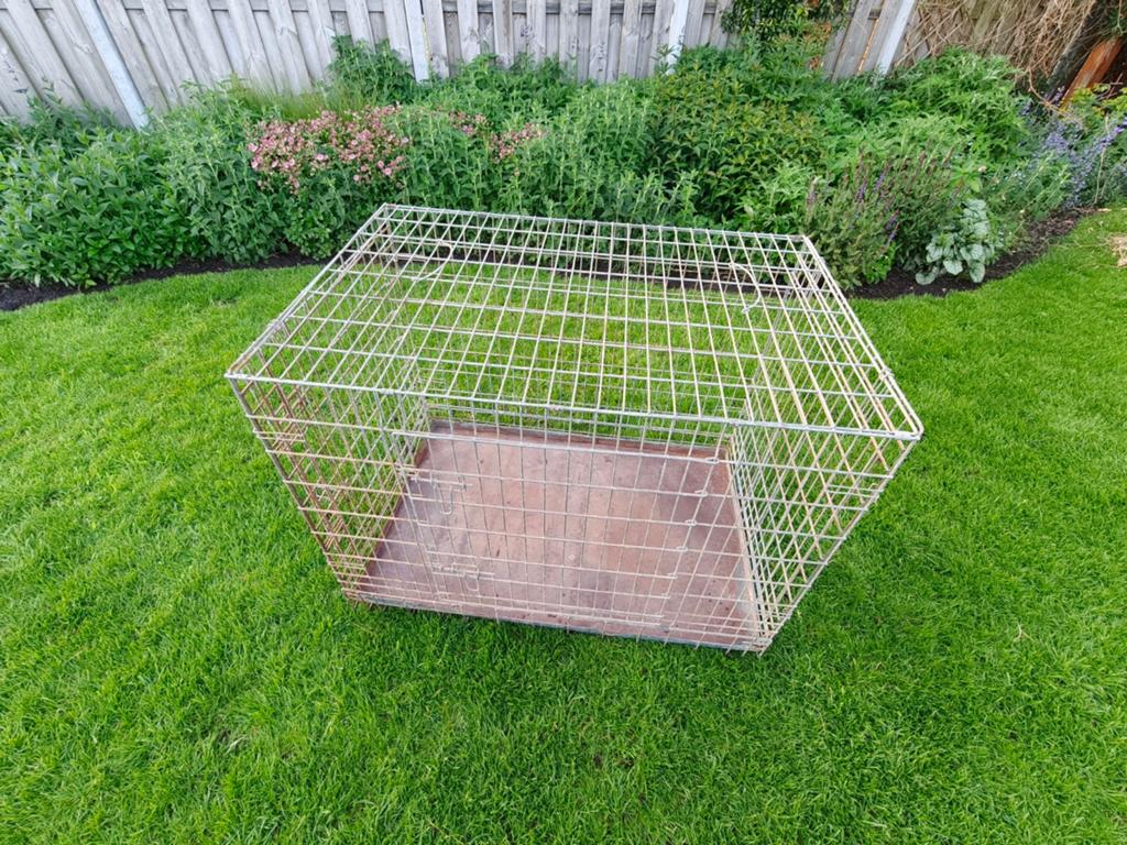 Grote gegalvaniseerde honden bench, Ophalen
