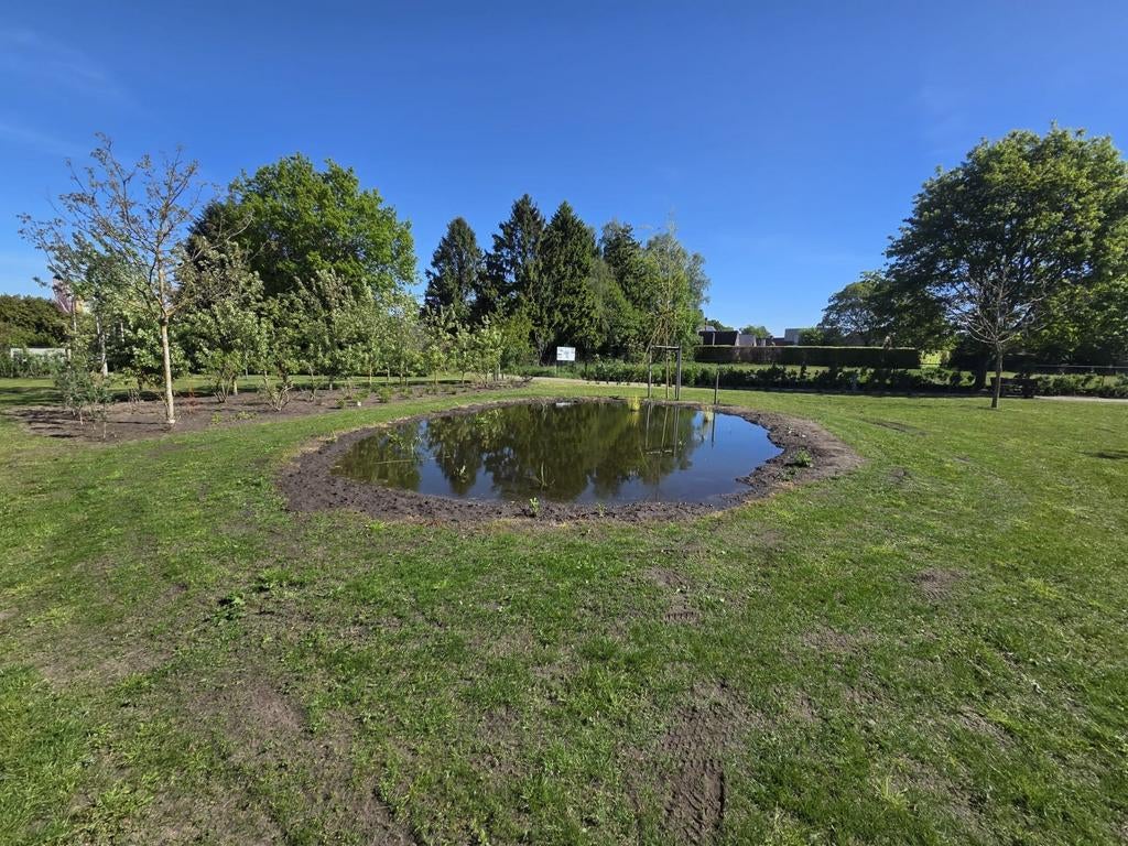 Gezocht zuurstofplanten voor onze vijver regio Valkenswaard, Dieren en Toebehoren, Stalling en Weidegang