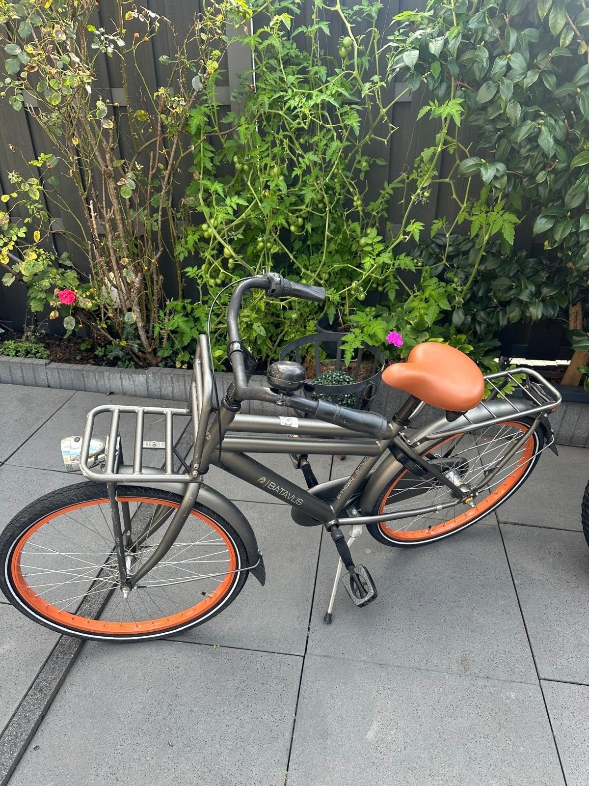 Batavus Amigo kinder  transportfiets met voordrager en versn, Fietsen en Brommers, Batavus, Ophalen of Verzenden, Zo goed als nieuw
