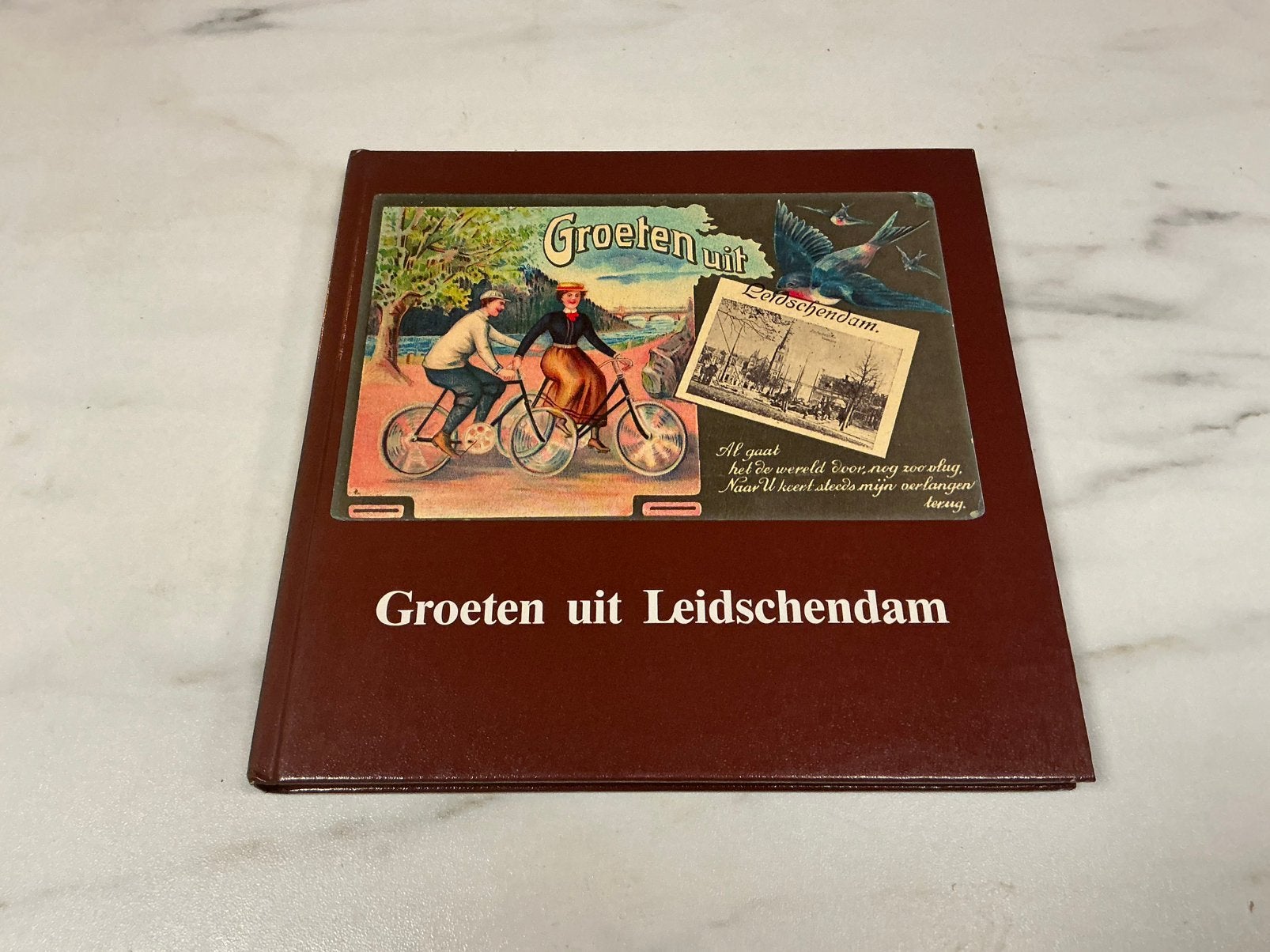 Groeten uit Leidschendam - Historisch Fotoboek, Boeken, Geschiedenis | Stad en Regio, Ophalen of Verzenden, 20e eeuw of later