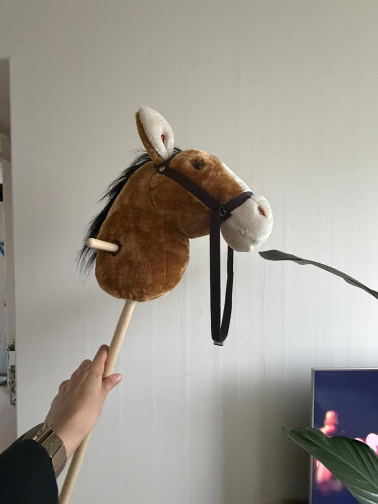 Hobby Horse stokpaardje, Kinderen en Baby's, Speelgoed | Overig, Ophalen, Gebruikt, Jongen of Meisje