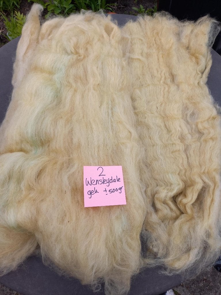 Gekaarde Wensleydale wol kaardvlies (ongewassen), Ophalen of Verzenden, Nieuw