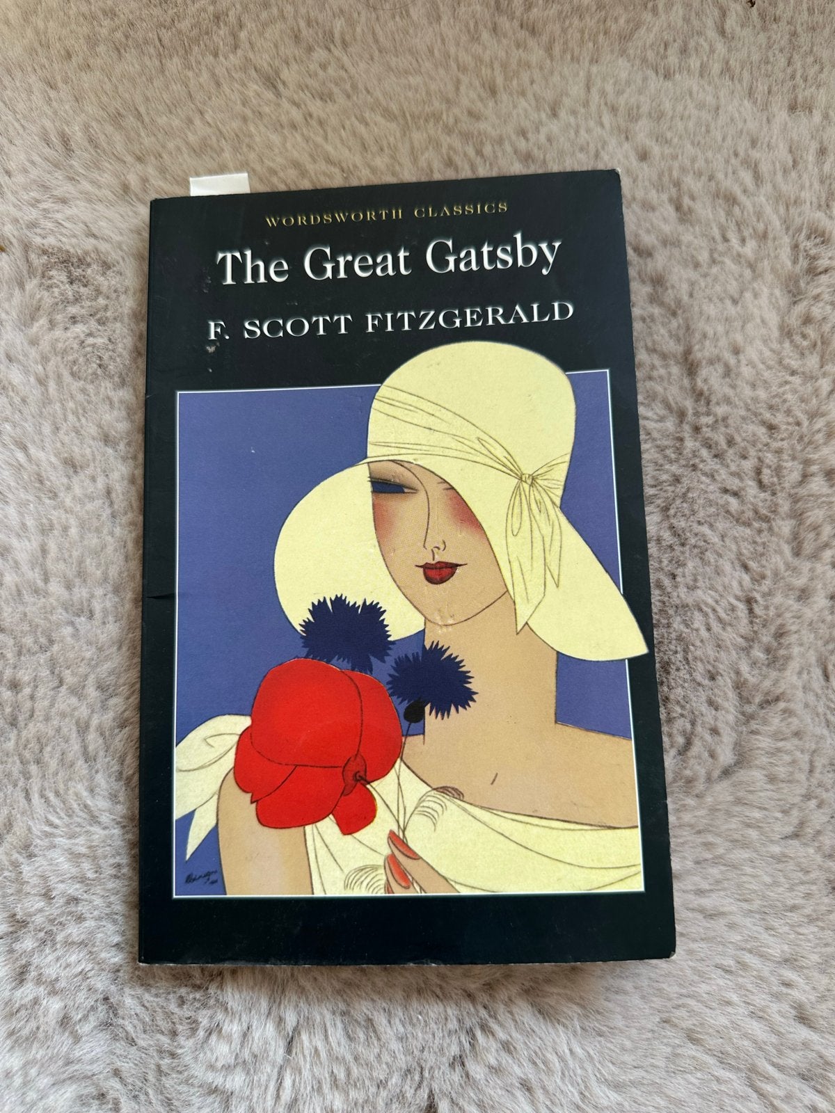 The Great Gatsby - F. Scott Fitzgerald (Wordsworth Classics), Boeken, Ophalen of Verzenden, Gelezen, Wereld overig