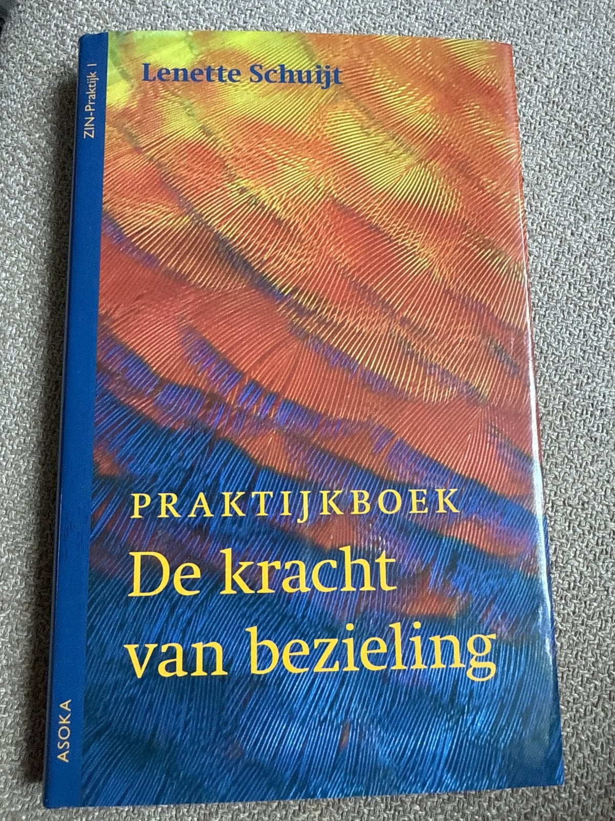 Praktijkboek De kracht van bezieling - Lenette Schuijt, Ophalen of Verzenden, Nieuw, Spiritualiteit algemeen, Instructieboek