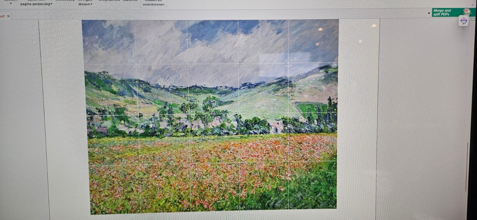 IXXI Claude Monet - Klaprozen bij Argenteuil 120x100cm, Ophalen, Oorspronkelijke maker, 100 tot 125 cm, 75 – 100