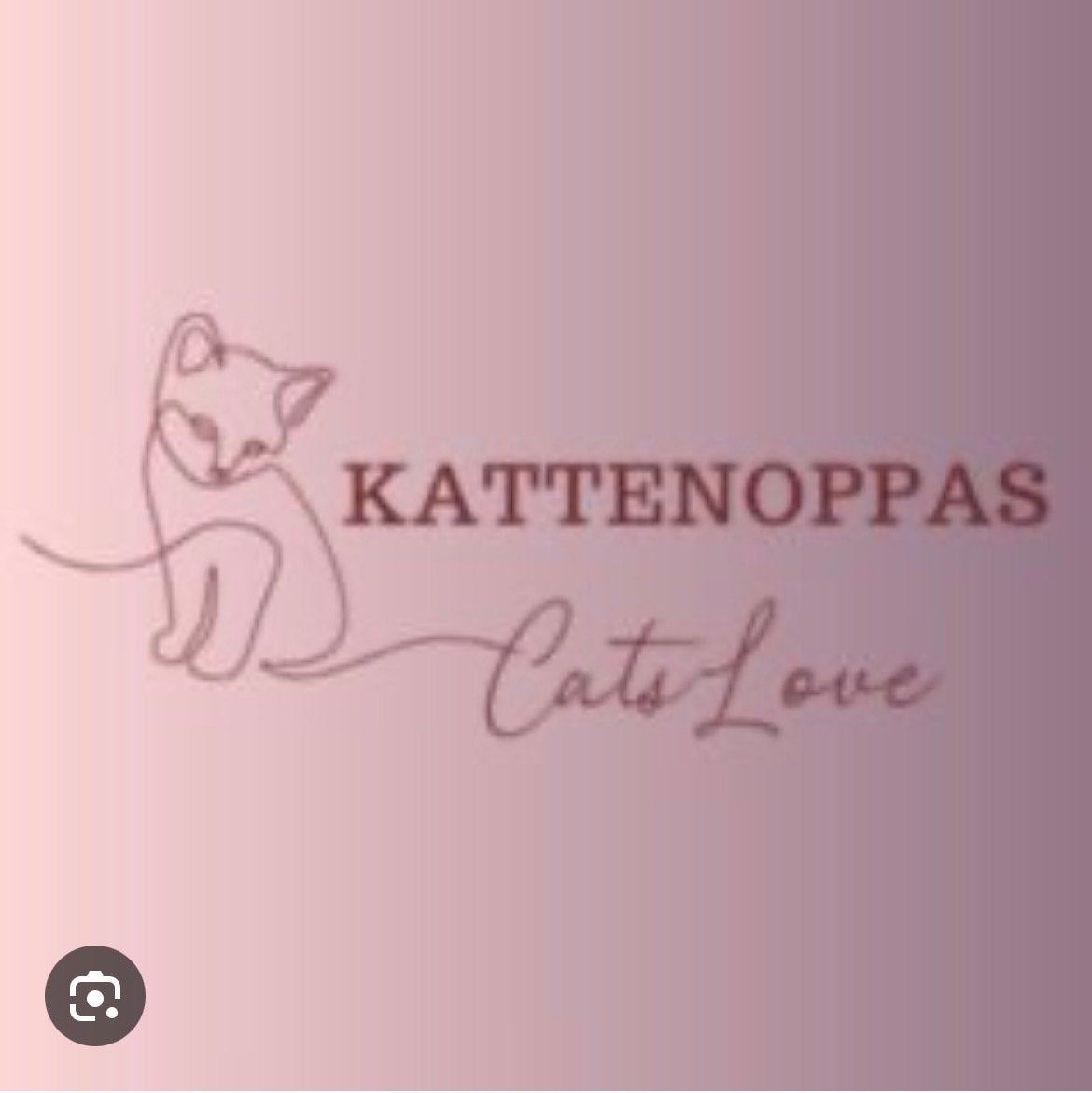 Betrouwbare kattenoppas beschikbaar Amsterdam, Alle leeftijden, Ophalen of Verzenden, Zo goed als nieuw
