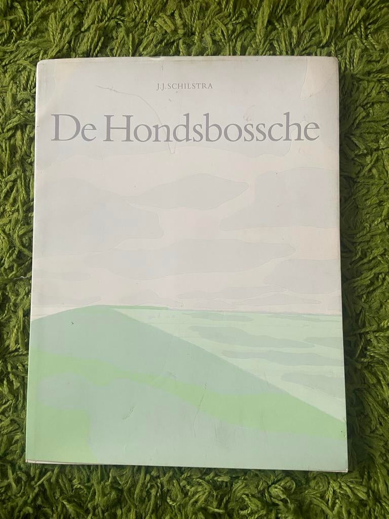 De Hondsbossche - J.J. Schilstra (Boek), Ophalen of Verzenden, Gelezen