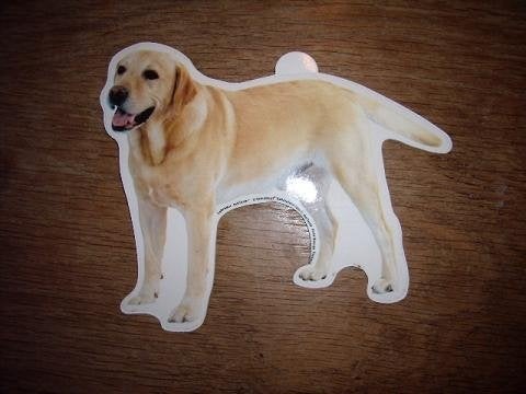 Hondenras sticker Labrador Retriever shaped 13 x 14 cm, Ophalen of Verzenden, Zo goed als nieuw, Bedrijf of Vereniging