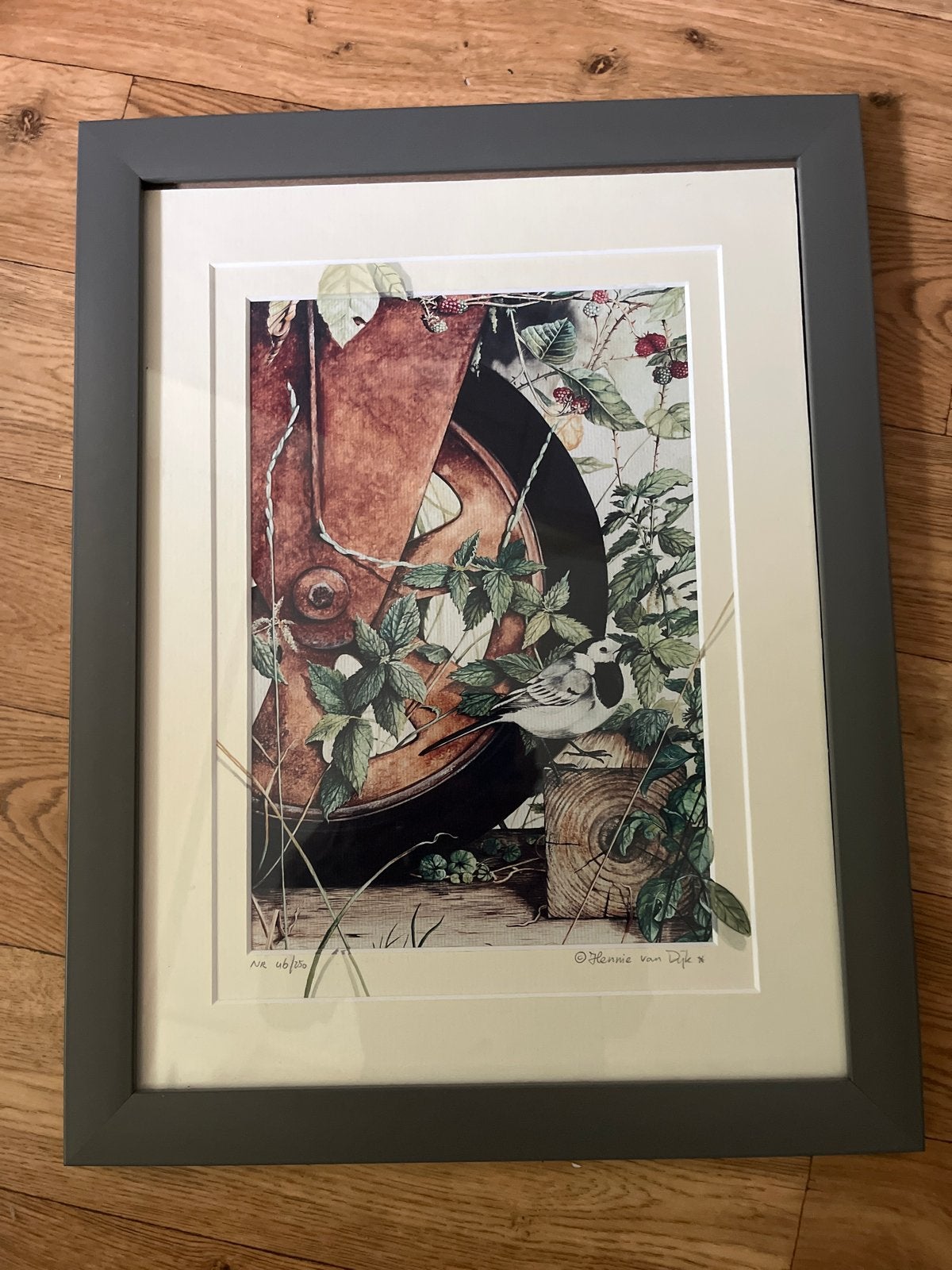 Hennie van Dijk - Black & White in Color (Witte kwikstaart), Ophalen, Print, Print/reproductie, Genummerd