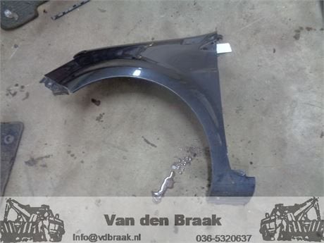 Renault Clio 2005-2013 Spatbord links voor, Auto-onderdelen, Gebruikt, -, Renault, Herkomst onderdeel bekend