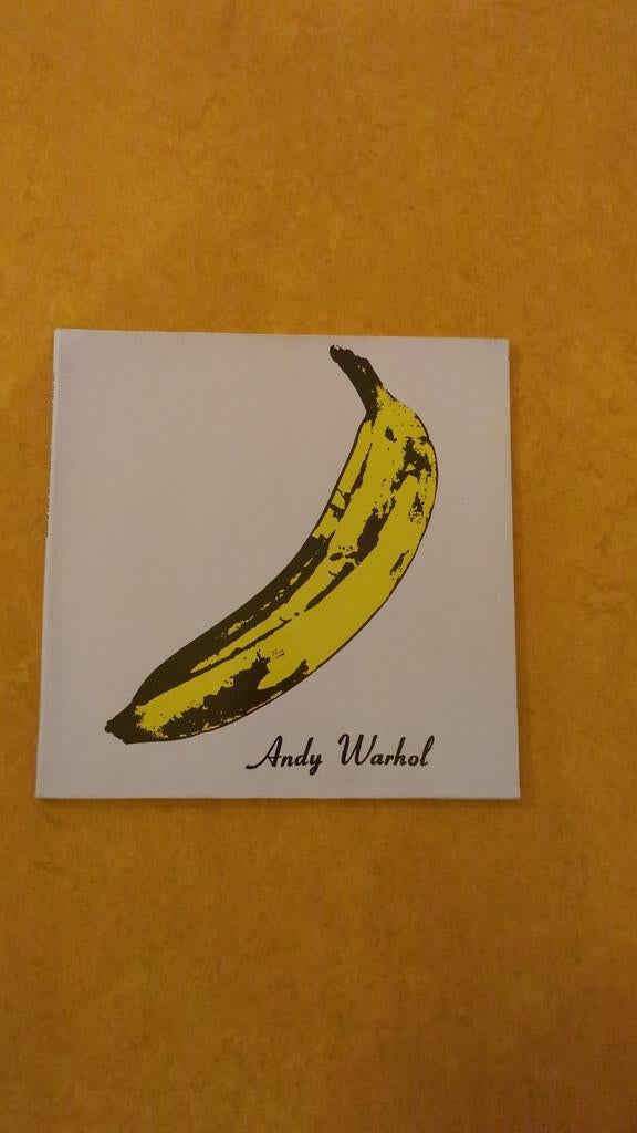 The Velvet Underground & Nico - Andy Warhol LP, Ophalen of Verzenden, Gebruikt, 12 inch