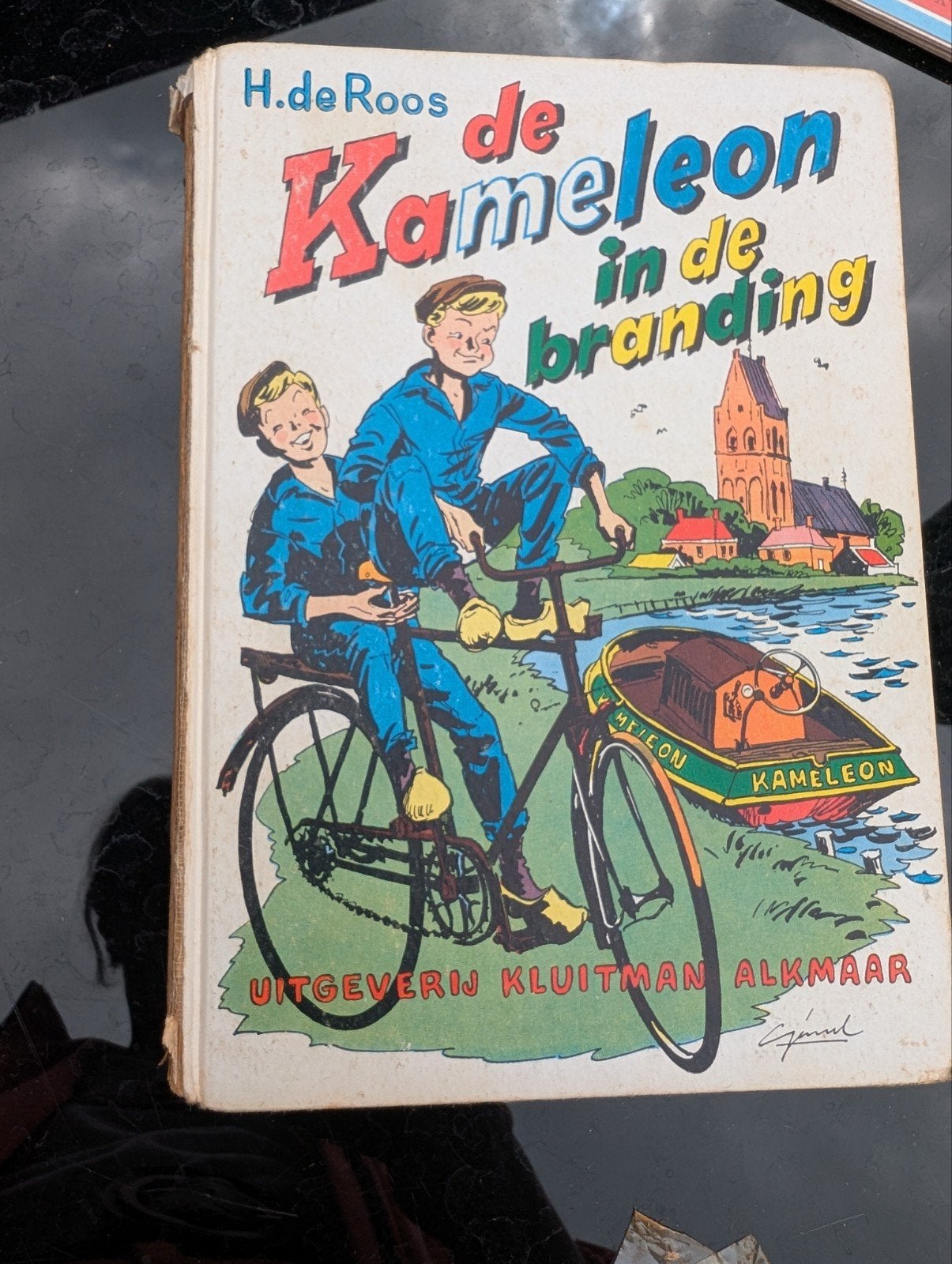 De kameleon in de branding, Boeken, Ophalen of Verzenden, Gelezen, Non-fictie