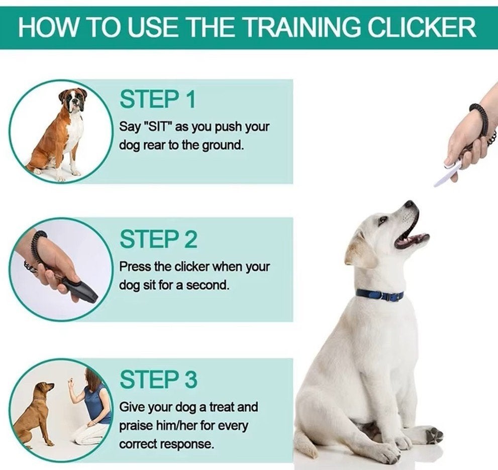 trainings clicker voor honden - nieuw / ongebruikt, Ophalen of Verzenden, Nieuw, Overige typen
