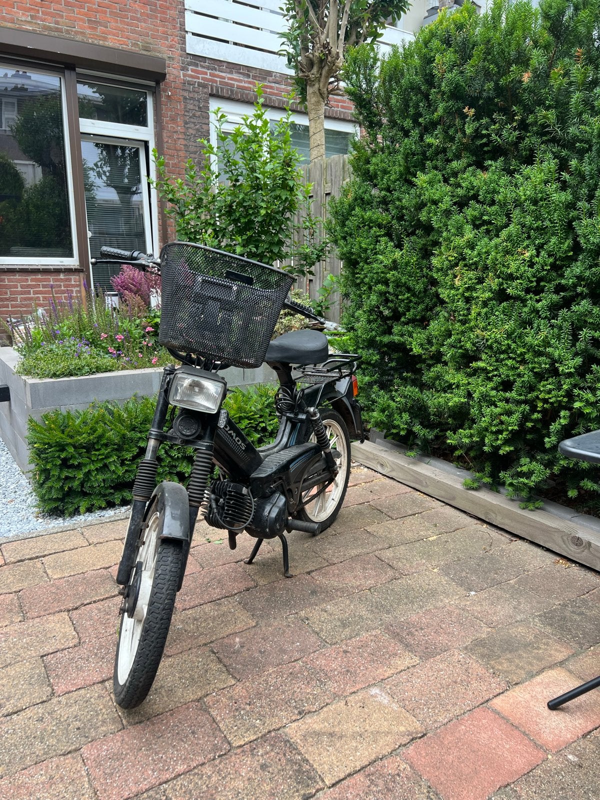 Tomos Standard, Ophalen, Gebruikt, 50 cc, Standard