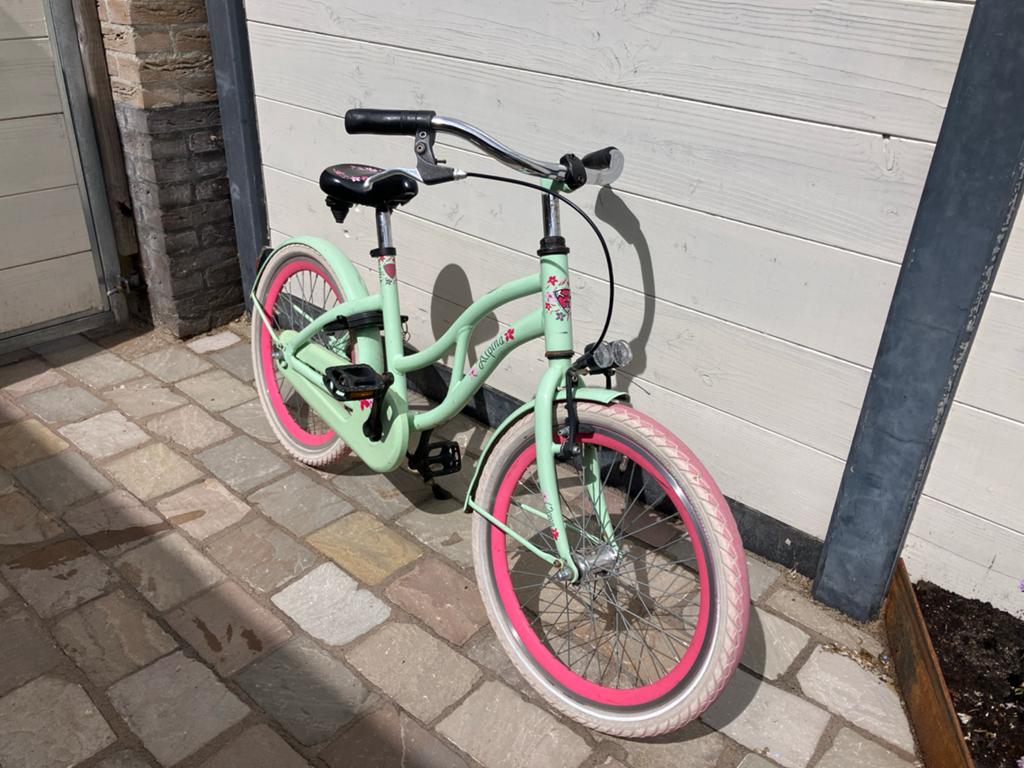 Alpina kinderfiets 20 inch - Mintgroen met roze accenten, Ophalen, Terugtraprem, 20 inch, Handrem